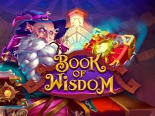Book Of Wisdom screenshot
