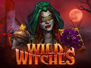Wild Witches screenshot